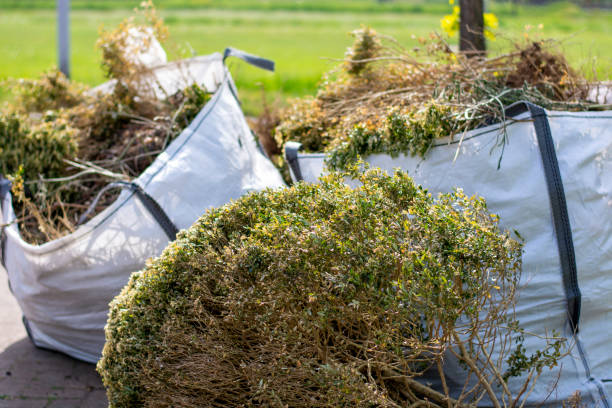 Attic Cleanout Services in Fellsmere, FL